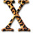 System OS X Jaguar Icon